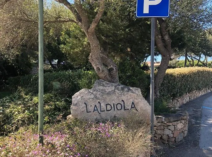 Daire Guest Host - Two In Aldiola